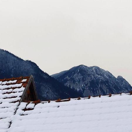 Casa Piatra Craiului Hotel Zărneşti Bagian luar foto