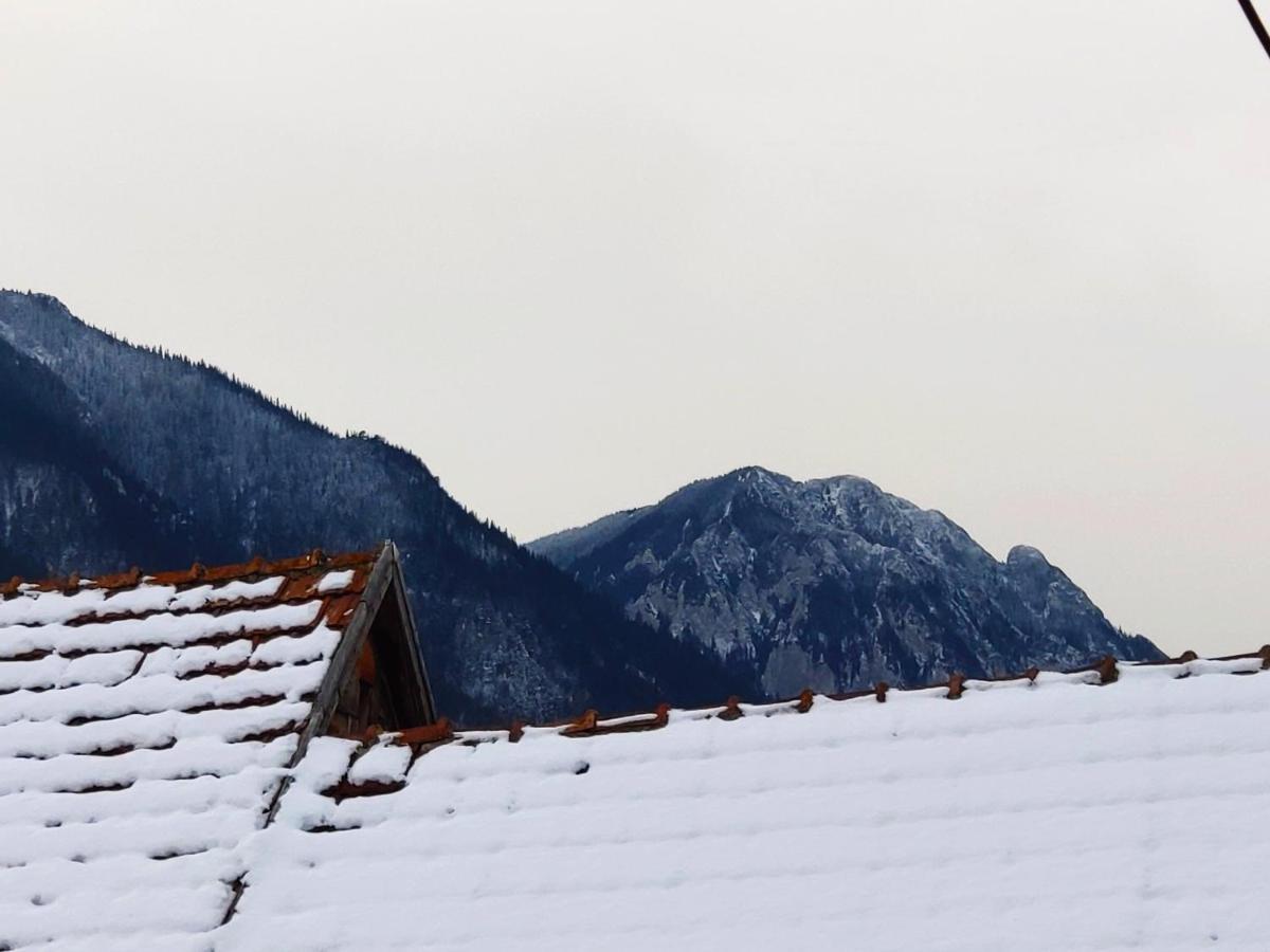 Casa Piatra Craiului Hotel Zărneşti Bagian luar foto