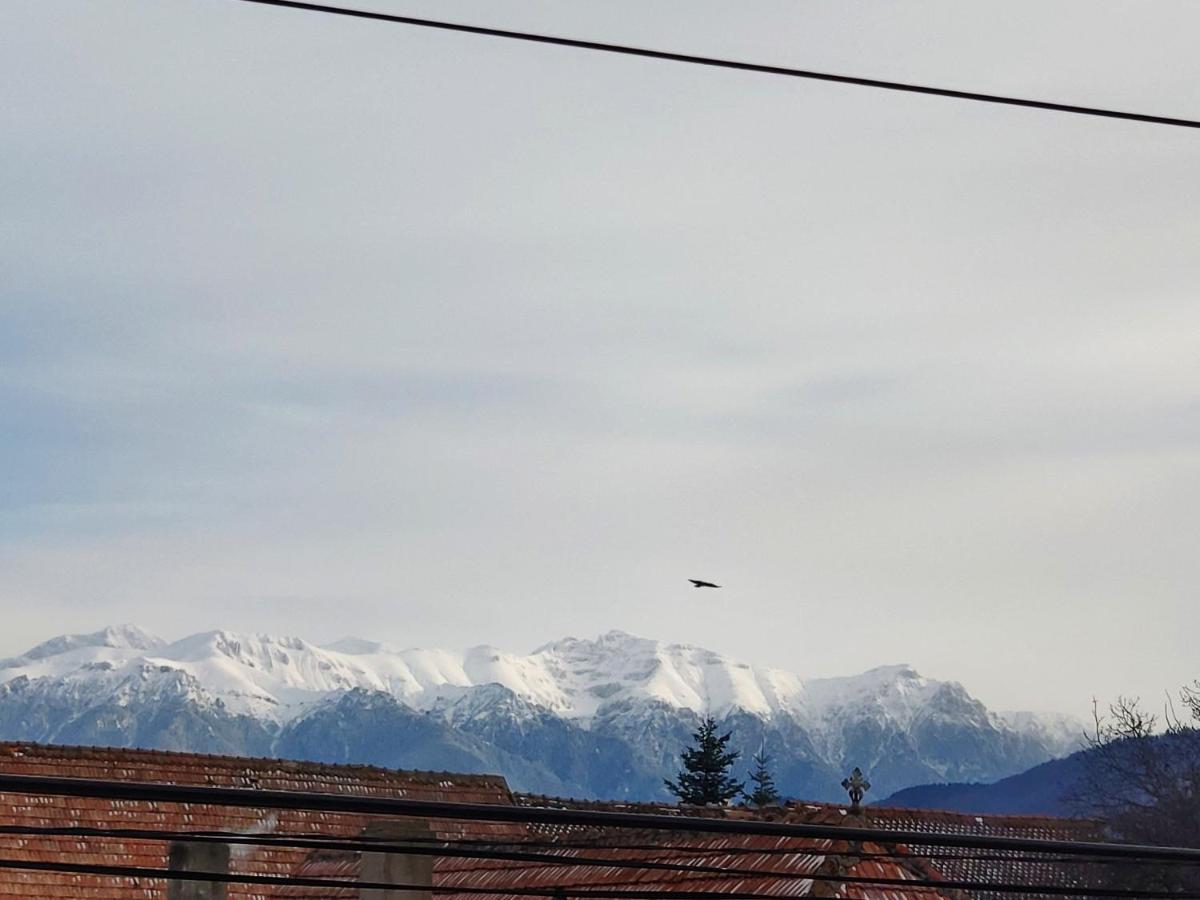 Casa Piatra Craiului Hotel Zărneşti Bagian luar foto