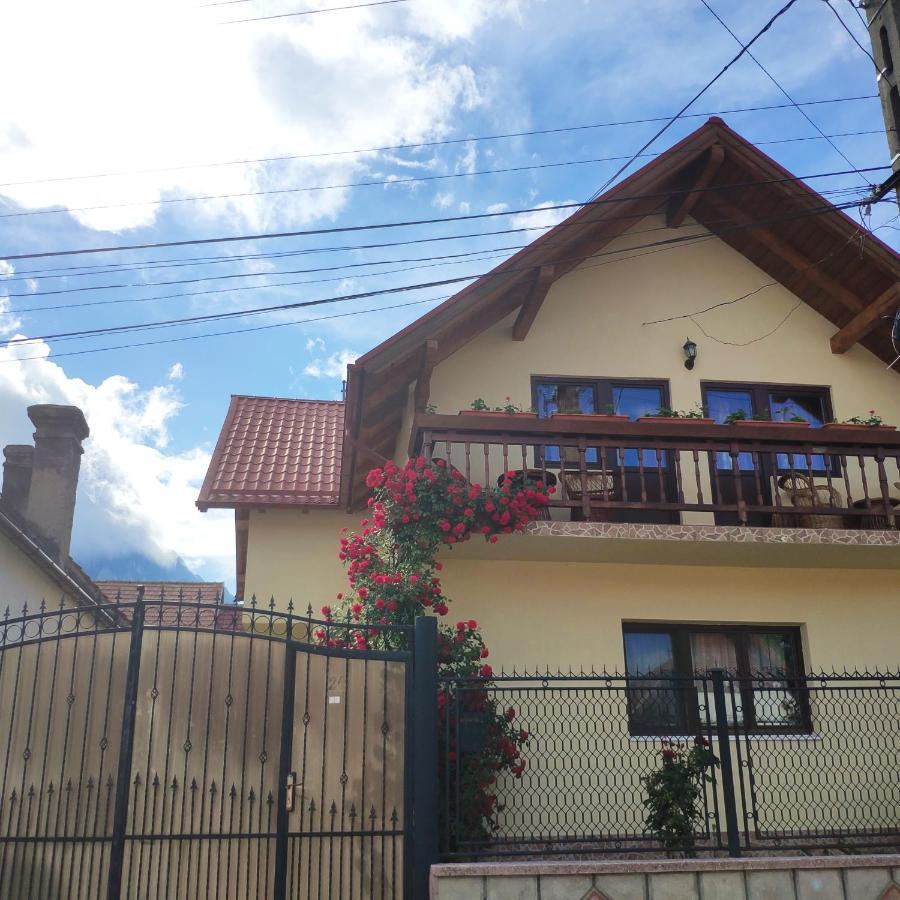 Casa Piatra Craiului Hotel Zărneşti Bagian luar foto
