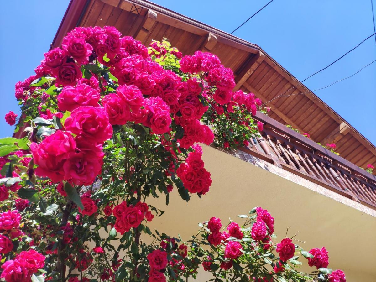 Casa Piatra Craiului Hotel Zărneşti Bagian luar foto